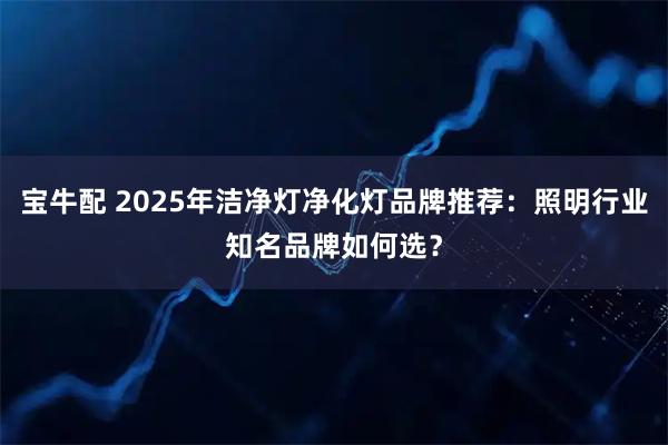 宝牛配 2025年洁净灯净化灯品牌推荐：照明行业知名品牌如何选？