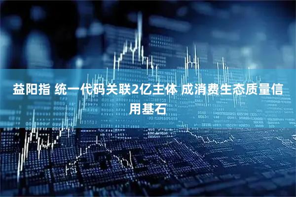 益阳指 统一代码关联2亿主体 成消费生态质量信用基石