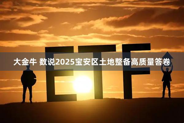 大金牛 数说2025宝安区土地整备高质量答卷